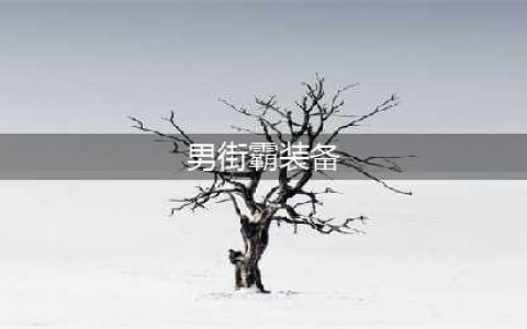 dnf110级男街霸最强装备搭配 110级男街霸最强装备选择(男街霸装备)