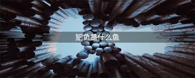 别再说分不清鲶鱼和鮰鱼，这四个明显特征，一眼就能分出来(鮰鱼是什么鱼)