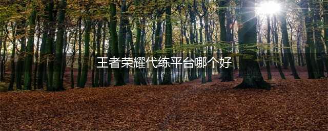 王者荣耀代打平台哪个好 好用的游戏代打平台推荐(王者荣耀代练平台哪个好)