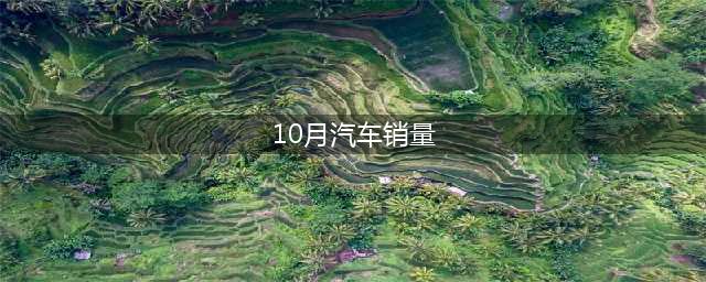 中汽协：2023年10月汽车销248.8万辆 同比增11.4% 产销量均创历史同期新高(10月汽车销量)