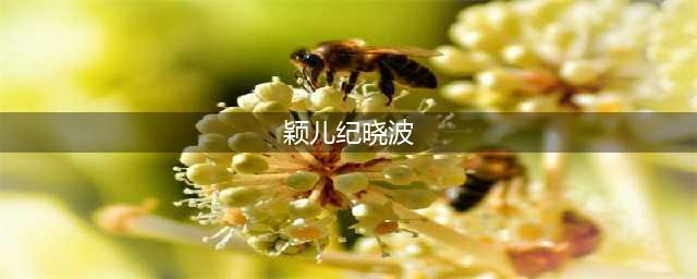 两度得罪姐姐，被黄圣依赶出公司，“作伤”的颖儿凭什么再翻红？(颖儿纪晓波)