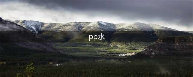 什么是PP水？PP水在涂装行业的应用有哪些？(pp水)