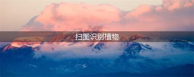 如何识别植物？其实扫描识别植物很简单(扫图识别植物)