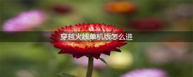 穿越火线单机版电脑版下载 安卓模拟器图文安装教程