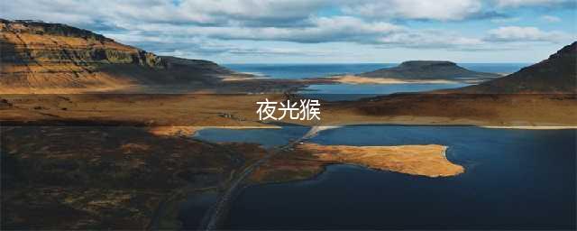 近期登上各大新闻的发光小绿猴是什么来历？原来和这项研究有关(夜光猴)
