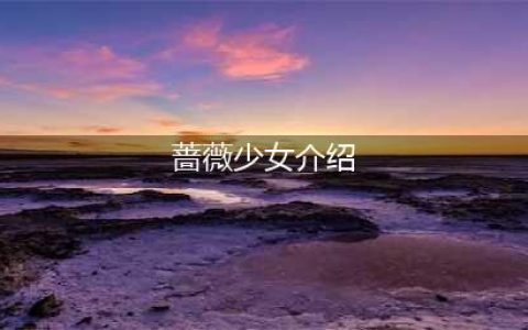 《幻想全明星》蔷薇少女全介绍 蔷薇少女有哪些(蔷薇少女介绍)