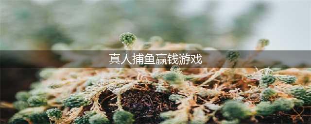 五大热门捕鱼游戏推荐(真人捕鱼赢钱游戏)