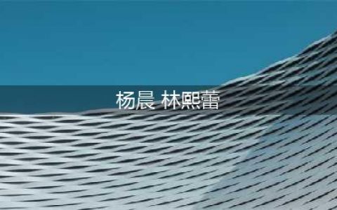 陪睡上位私交混乱，无缝衔接17个男人，“纯欲女神”林熙蕾现形记(杨晨 林熙蕾)