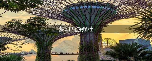 梦幻西游强壮加多少血 梦幻西游强壮消耗表