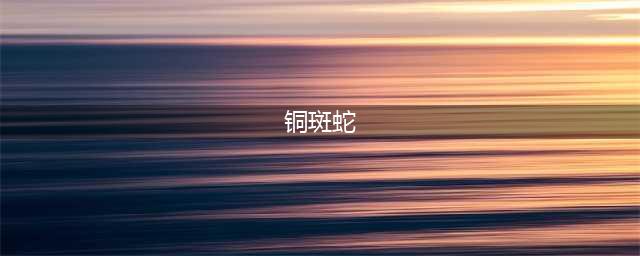 《荒野大镖客2》北部铜斑蛇怎么样 生物图鉴一览(铜斑蛇)