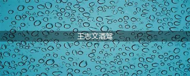 王志文：嗜酒如命多次酒驾被查, 天生就招女人喜欢, 台词功底第一人(王志文酒驾)