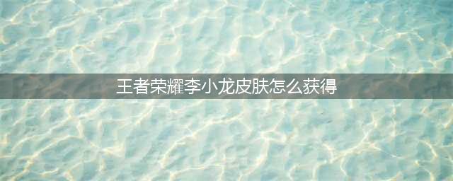 《王者荣耀》五周年李小龙皮肤获取途径一览 李小龙皮肤如何获得