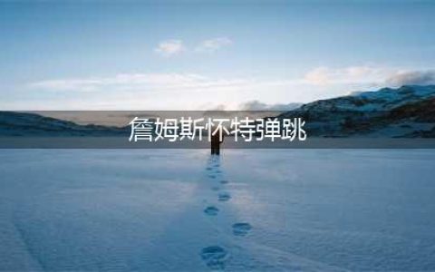 NBA史上垂直弹跳最高的十大球员(詹姆斯怀特弹跳)