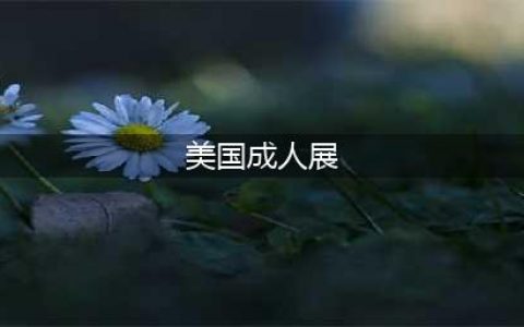为缅怀右手的青春：某日本团队携VR游戏亮相美国成人展(美国成人展)