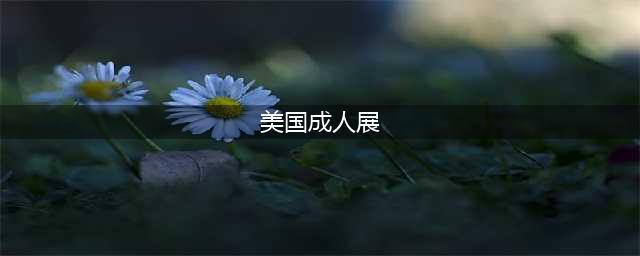 为缅怀右手的青春：某日本团队携VR游戏亮相美国成人展(美国成人展)