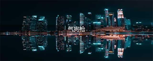 “汽狗”、“狗粮”？这些暗语竟然是枪支暗号(气狗枪)