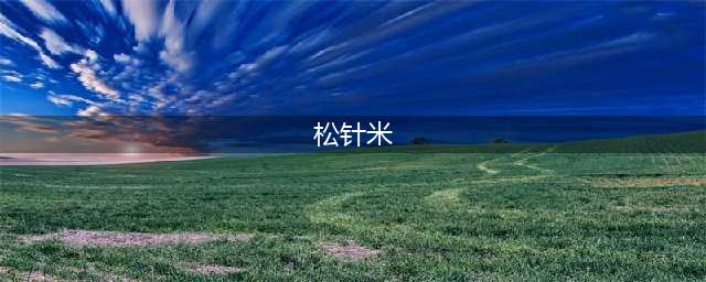 像针一样的“米”，有钱人才吃得起，一般人都没见过(松针米)