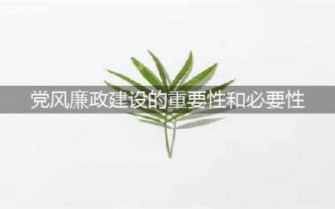 党风廉政建设的重要性(党风廉政建设的重要性和必要性)