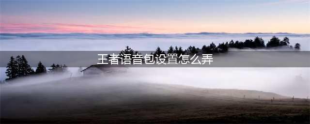 王者荣耀英雄语音包怎么设置 语音包设置详细教程(王者语音包设置怎么弄)