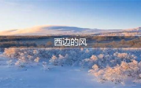 曝“西边的风”开恋童癖网站涉嫌猥亵未成年(西边的风)