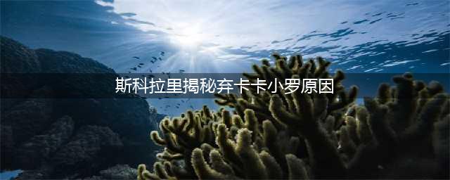 六亲不认？不如内马尔？巴西队为什么不用卡卡和小罗踢世界杯？(斯科拉里揭秘弃卡卡小罗原因)