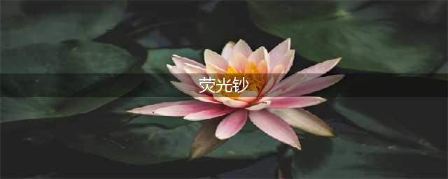 什么是荧光钞(荧光钞)