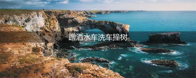 蹭洒水车洗车撞树 女司机的世界很难懂[图](蹭洒水车洗车撞树)