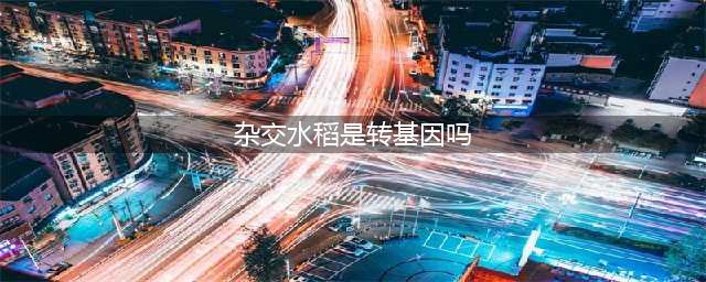 谁告诉你的杂交水稻就是转基因？别再被带节奏了！(杂交水稻是转基因吗)