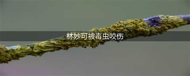 好吓人!林妙可自曝竹海拍戏被“毒虫”咬得满腿包,好友送来驱蚊药(林妙可被毒虫咬伤)