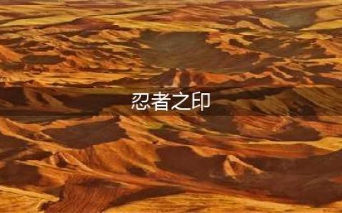 忍者之印使用方法(忍者之印)