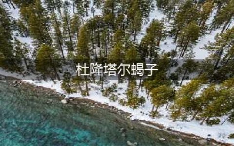 魔兽世界怀旧服死亡毒蝎在什么地方  死亡毒蝎位置介绍
