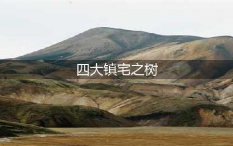 农村四大镇宅之树是什么？种在哪个位置可以旺宅？(四大镇宅之树)