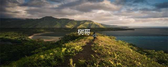 抖音爆火的Hello树先生，深度解析，没看懂的快进来(树哥)