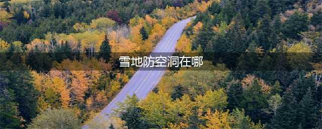 和平精英雪地防空洞位置介绍