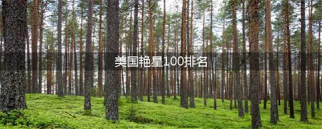 欧美十大艳星盘点！感受不一样的魅力(美国艳星100排名)