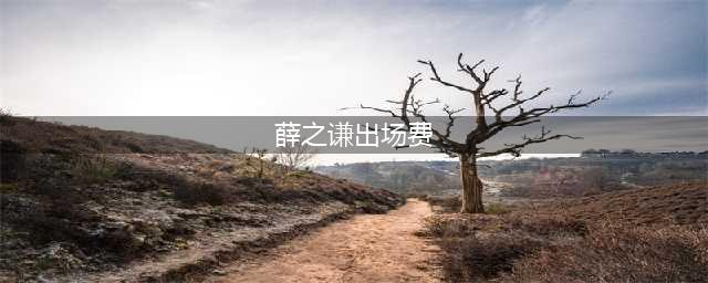 2024华语歌手明星出场费商演及明星代言费TOP榜(薛之谦出场费)