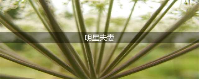 细数34对恩爱的明星夫妻，愿你们恩爱如初，希望将模范进行到底(明星夫妻)