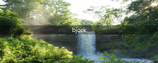 冰岛女艺人Björk 被国内音乐平台全部下架！(bjork)