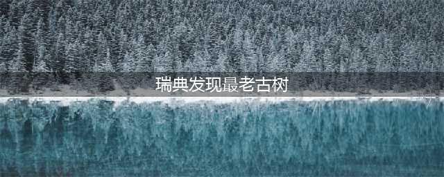 瑞典发现最老古树 专家称该树为云杉已生长9500年(瑞典发现最老古树)