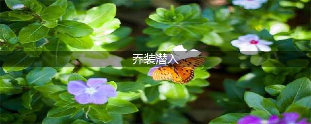 《魔兽世界》乔装潜入任务完成方法是什么