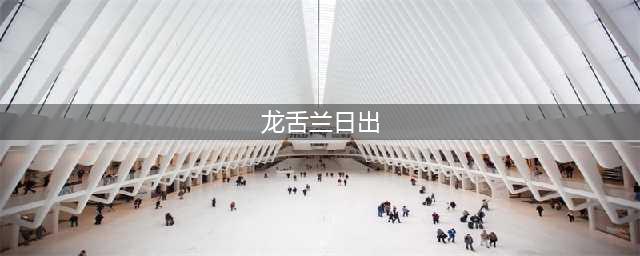 《龙舌兰日出》什么时候发售 游戏发售时间一览(龙舌兰日出)