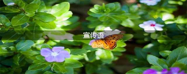 100个国内外经典广告语，句句皆艺术(宣传语)