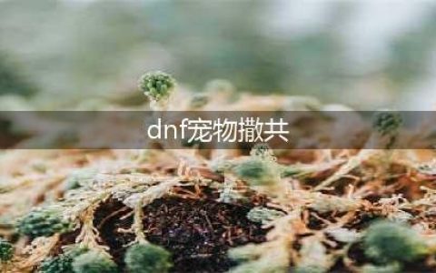 《DNF手游》宠物撒共怎么得 宠物撒共获取攻略(dnf宠物撒共)