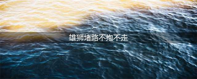 雄狮堵路不抱不走 背后原因引人泪奔盘点人与动物情深(图)(雄狮堵路不抱不走)