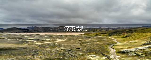 十部经典的韩国深夜影院之作(深夜影院)