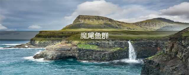 魔尾鱼群魔尾鱼群在哪