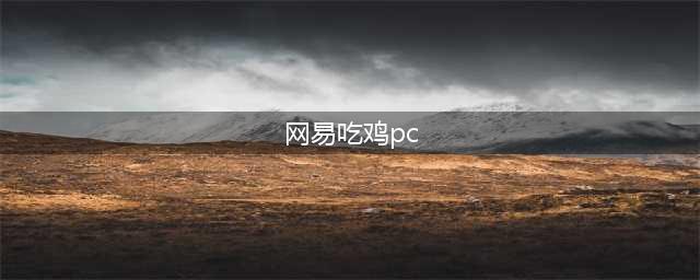 网易吃鸡游戏电脑版《荒野行动pc plus》什么时候出(网易吃鸡pc)