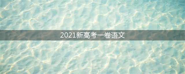 2021年全国新高考 I 卷语文试题及答案详解（参考版）(2021新高考一卷语文)