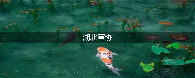 审协湖北中心：专利审查“点亮”创新之路(湖北审协)