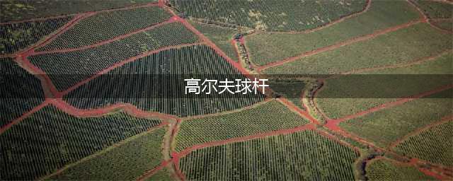 高尔夫球杆的分类？看完这篇，全都懂了！(高尔夫球杆)